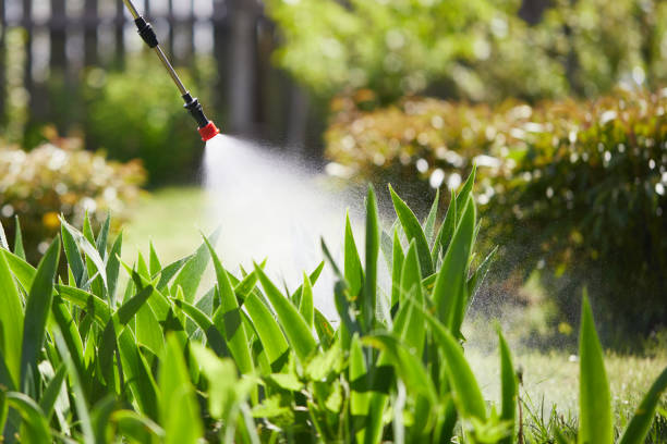 Tamper-Resistant Bait Stations for Rodents in Jupiter Farms