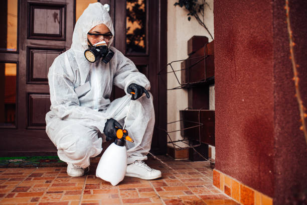 Attic and Crawl Space Rodent Treatment in Jupiter Farms