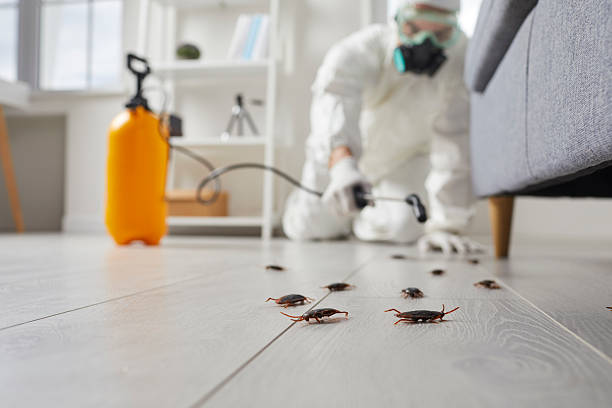Commercial Rodent Management in Jupiter Farms